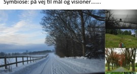 læge 13