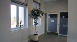 Schlerose 10