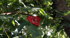 Le