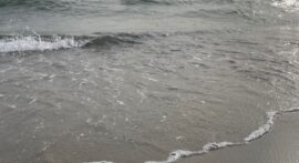 IMG_0377 2